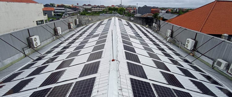project papayaBali